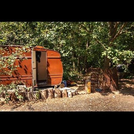 Little Vintage Caravan With Cosy Log Burner 坎特伯雷 外观 照片