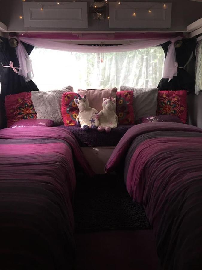 Little Vintage Caravan With Cosy Log Burner 坎特伯雷 外观 照片
