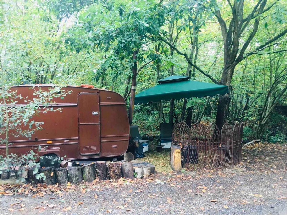 Little Vintage Caravan With Cosy Log Burner 坎特伯雷 外观 照片